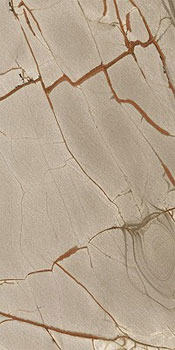 3 CASA DOLCE CASA nature mood rainforest glos 60x120x0.6
