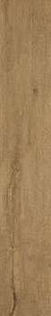 3 FAP roots gold matt r9 20x120