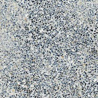 3 NAXOS orangerie boboli nat 60x60x0.7