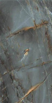 3 NAXOS serenade marine lev 60x120x0.7