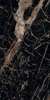 3 NAXOS serenade treasure lev 60x120x0.7