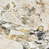 3 REX etoile symphonie glo 120x120x0.6
