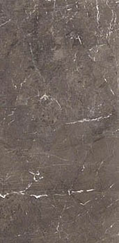 3 REX heritage brown glossy 60x120x0.6
