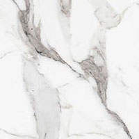 3 REX origines argent glo 120x120x0.6