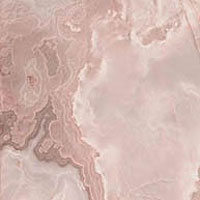 3 REX reves rose glo 120x120x0.6