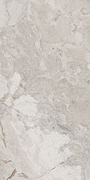 3 CERDOMUS karnis silver mat 60x120
