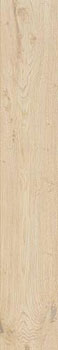 3 CAESAR rever almond 20x120