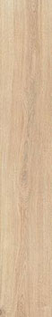3 CAESAR rever anise 20x120