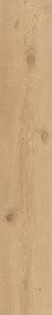 3 CAESAR rever nut 20x120