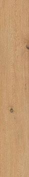 3 CAESAR rever wheat 20x120