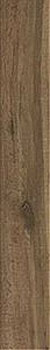 3 RAGNO woodglam tortora 10x70