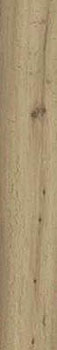 3 RAGNO woodstory beige 15x90