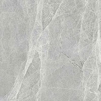 3 BLUEZONE worner grey sugar 60x60
