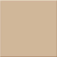 1 ABSOLUTE monocolor beige milano brillo 10x10