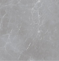 3 OCEAN arion gray dark 59.7x59.7x2