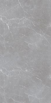 3 OCEAN arion gray dark 59.7x119.7x2
