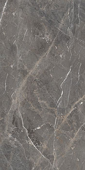 3 OCEAN tulip grey полир 60x120