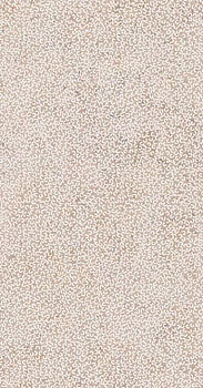 3 ABK poetry stone reloaded curve warm nat r 60x120