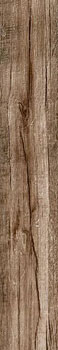 3 RAGNO woodmania musk 20x120