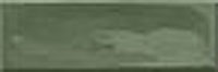 1 HARMONY glint green gloss 4.8x14.6
