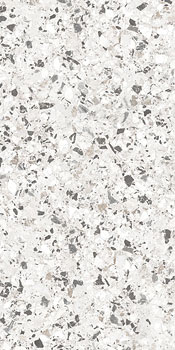 3 CERDOMUS neoclassica aulite brushed 60x120x0.85